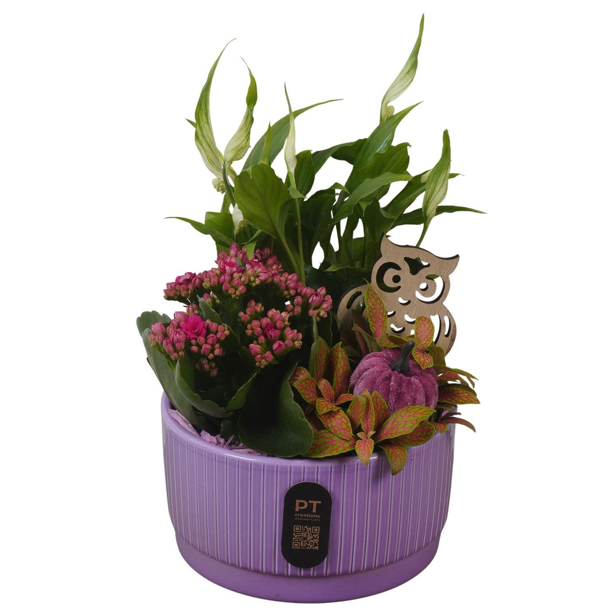 Indoor arrangement 28cm 16cm Pot