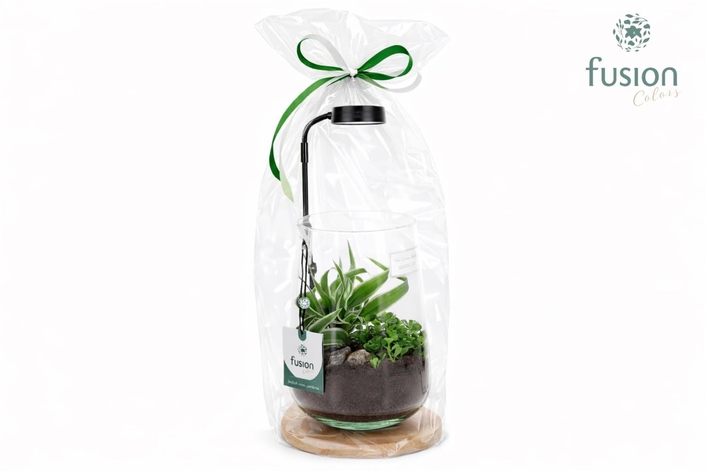Bamboe plateau met LED licht lamp en vaas en Groen planten in Klaphoes 55cm 15cm Pot