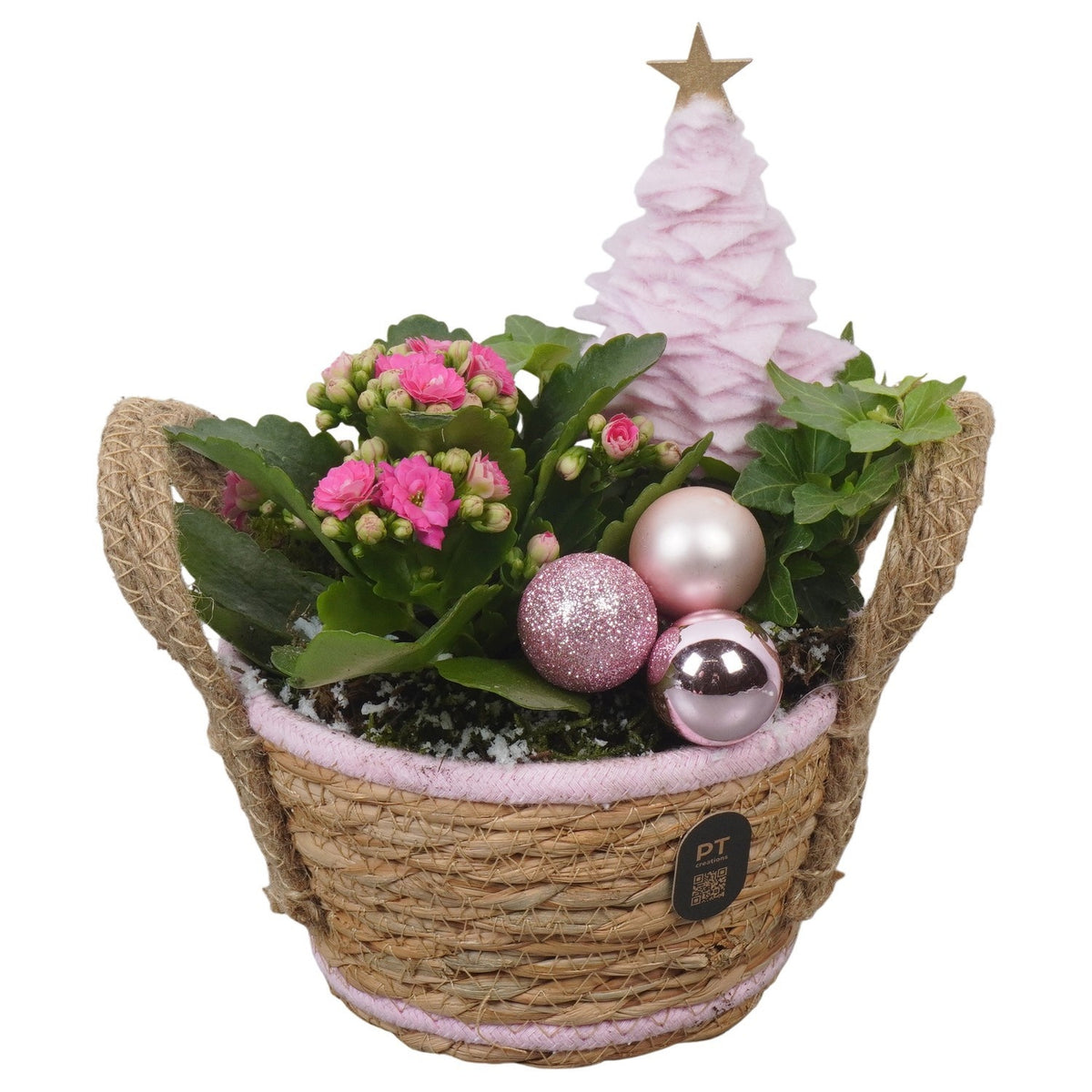 Christmas arrangement 22cm 15cm Pot