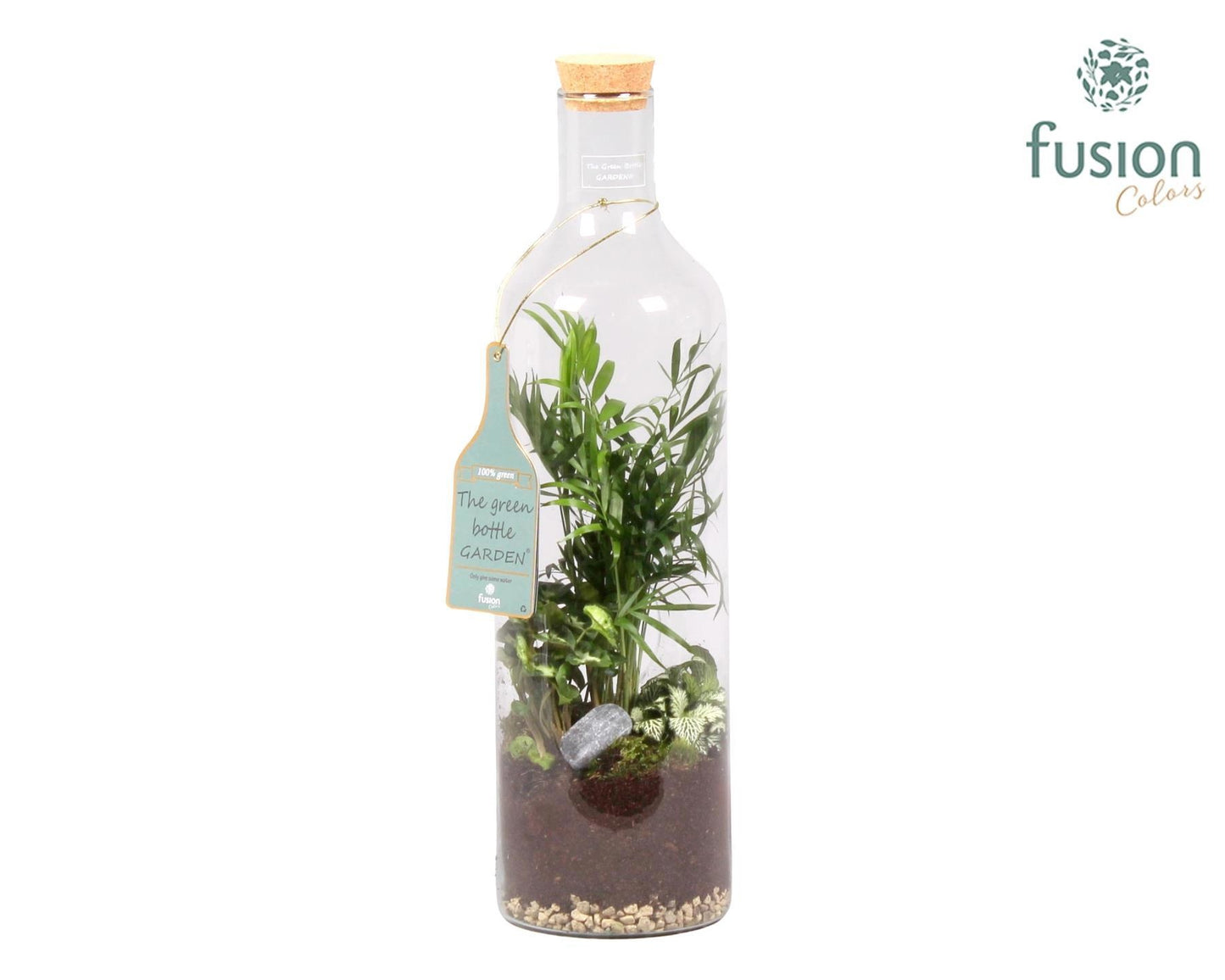 Green Bottle Fles Large met Groen Planten Arrangement 55cm 15cm Pot