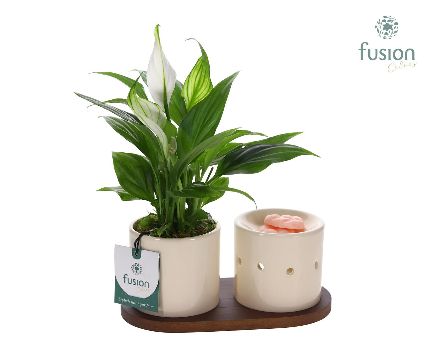 Fusioncolors BV Fusion Scents keramiek Gift set plankje met Spathiphyllum Pack of 4