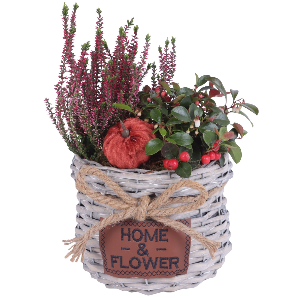 Outdoor arrangement 35cm 19cm Pot