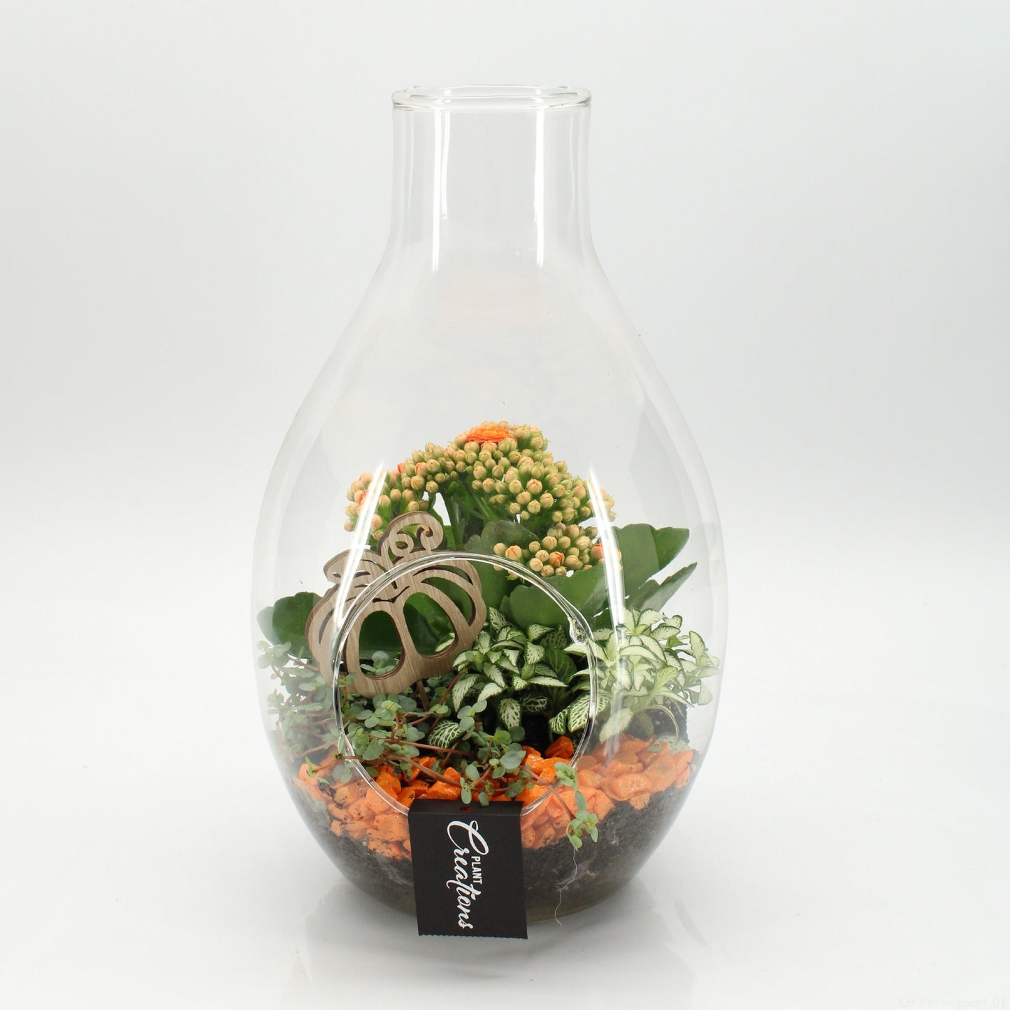 BHCR-2606 Autumn Fundamentals terrarium 30cm 17cm Pot