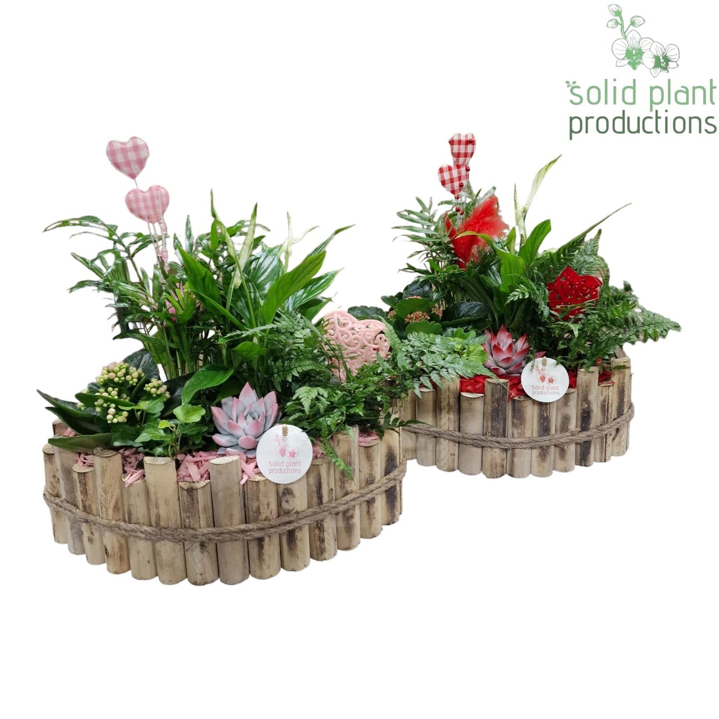 HVSCE006 Napoli Large Red/Pink Mix 40cm 35cm Pot