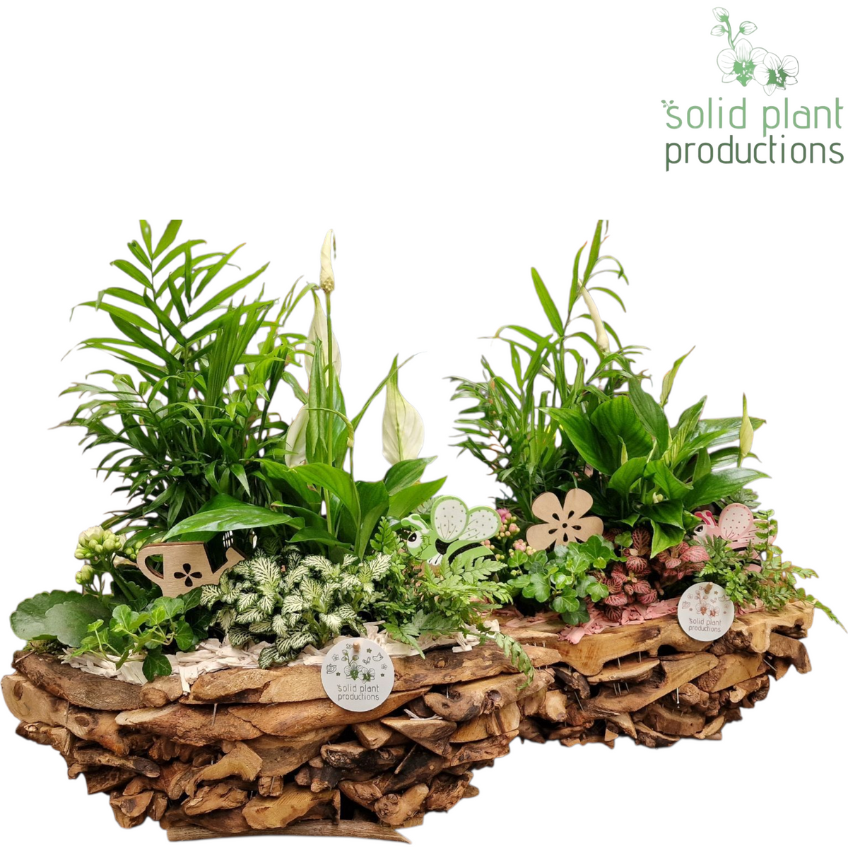 SC012 Driftwood Boat White/Pink 45cm 43cm Pot
