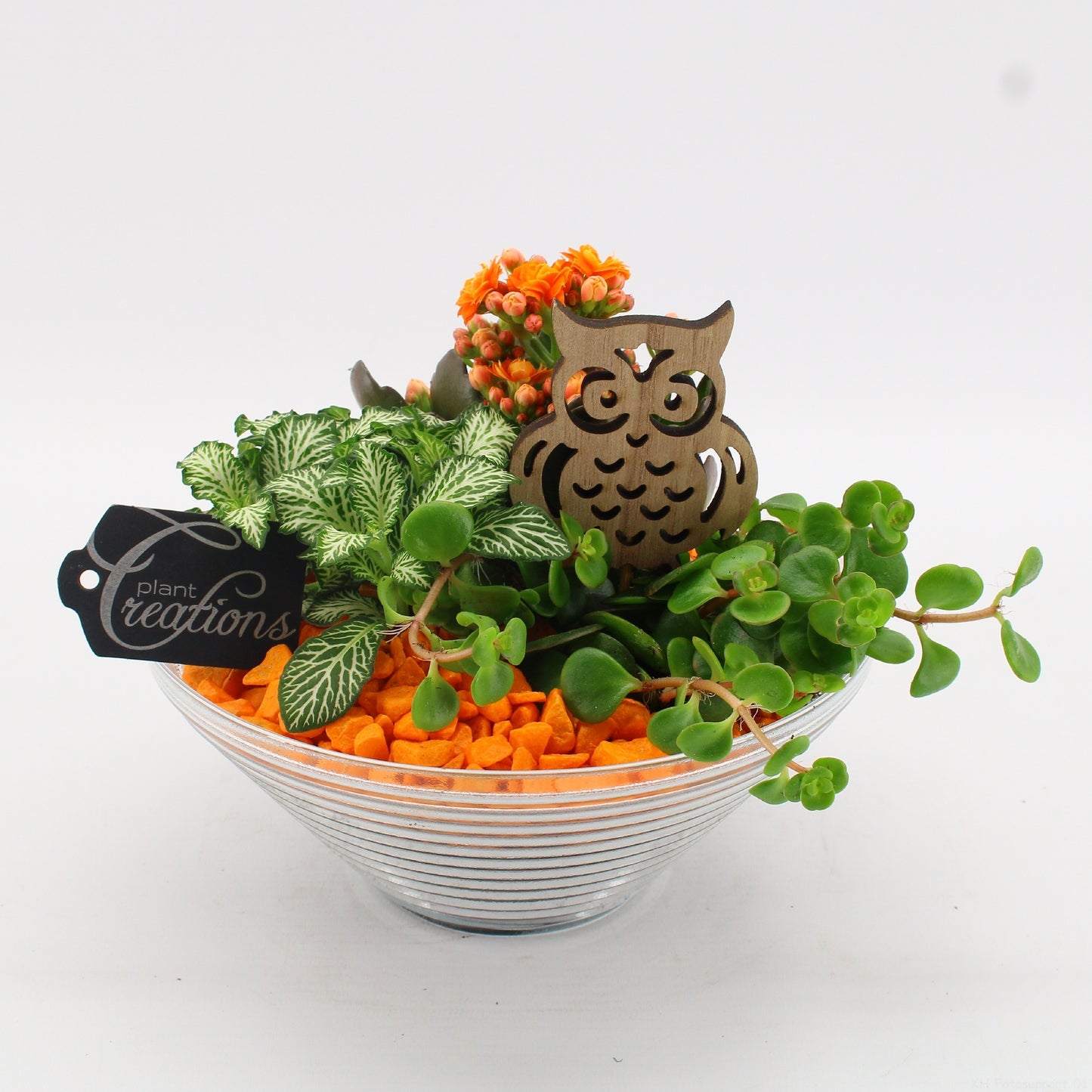 BHCR-2601 Autumn Fundamentals 20cm 20cm Pot