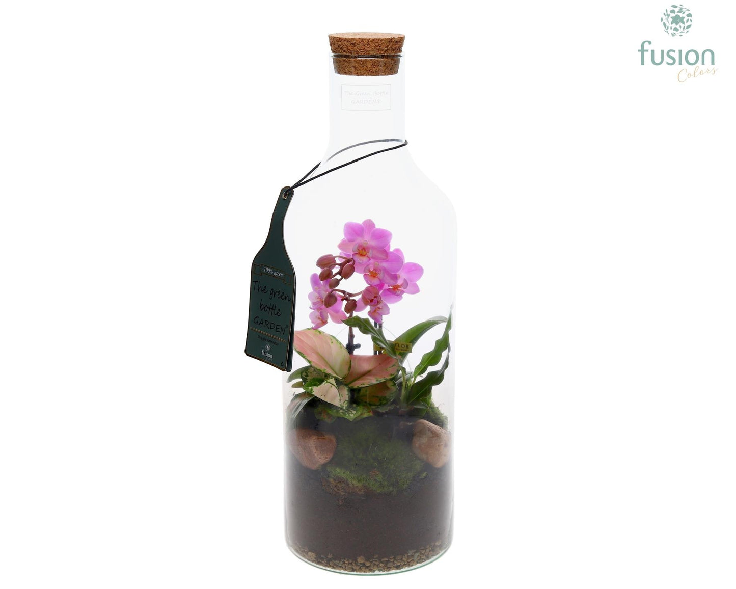 Green Bottle Fles Medium met Phalaenopsis arrangement 43cm 15cm Pot