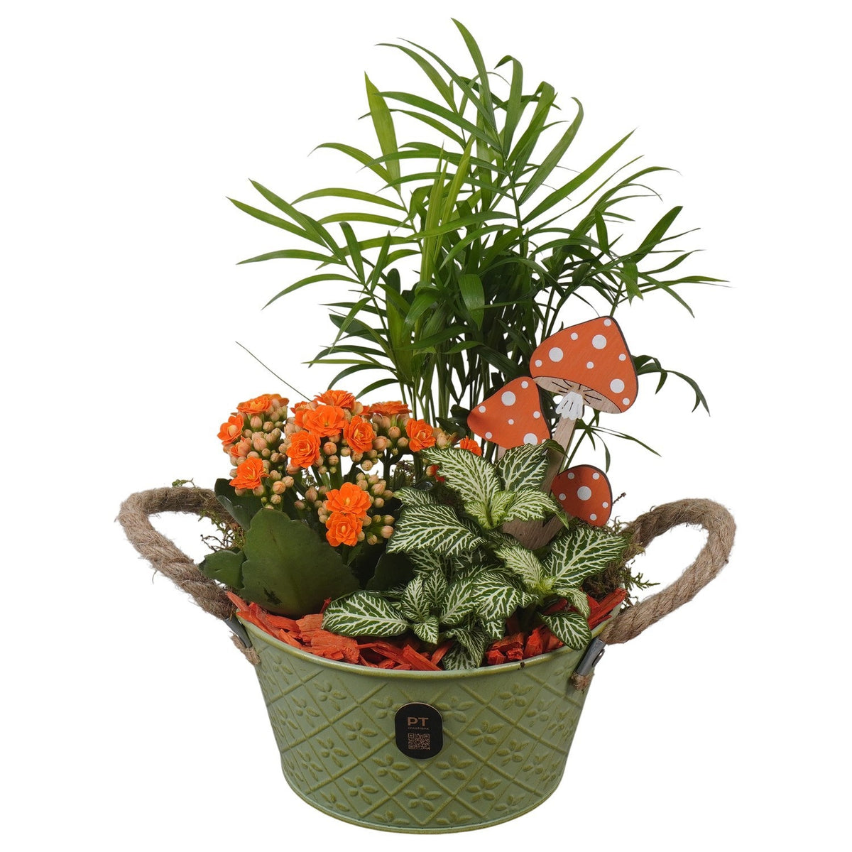 Indoor arrangement 30cm 17cm Pot