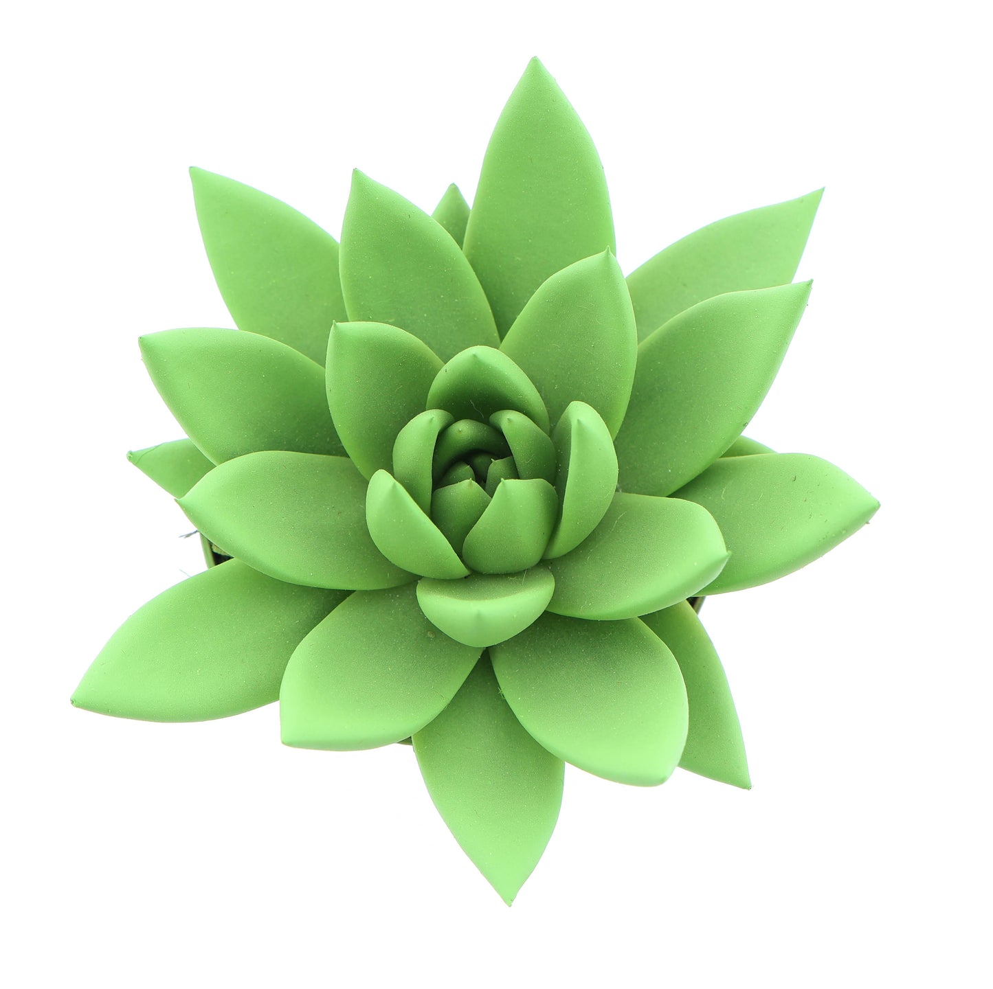 Rainbow bright green 10cm 8.5cm Pot