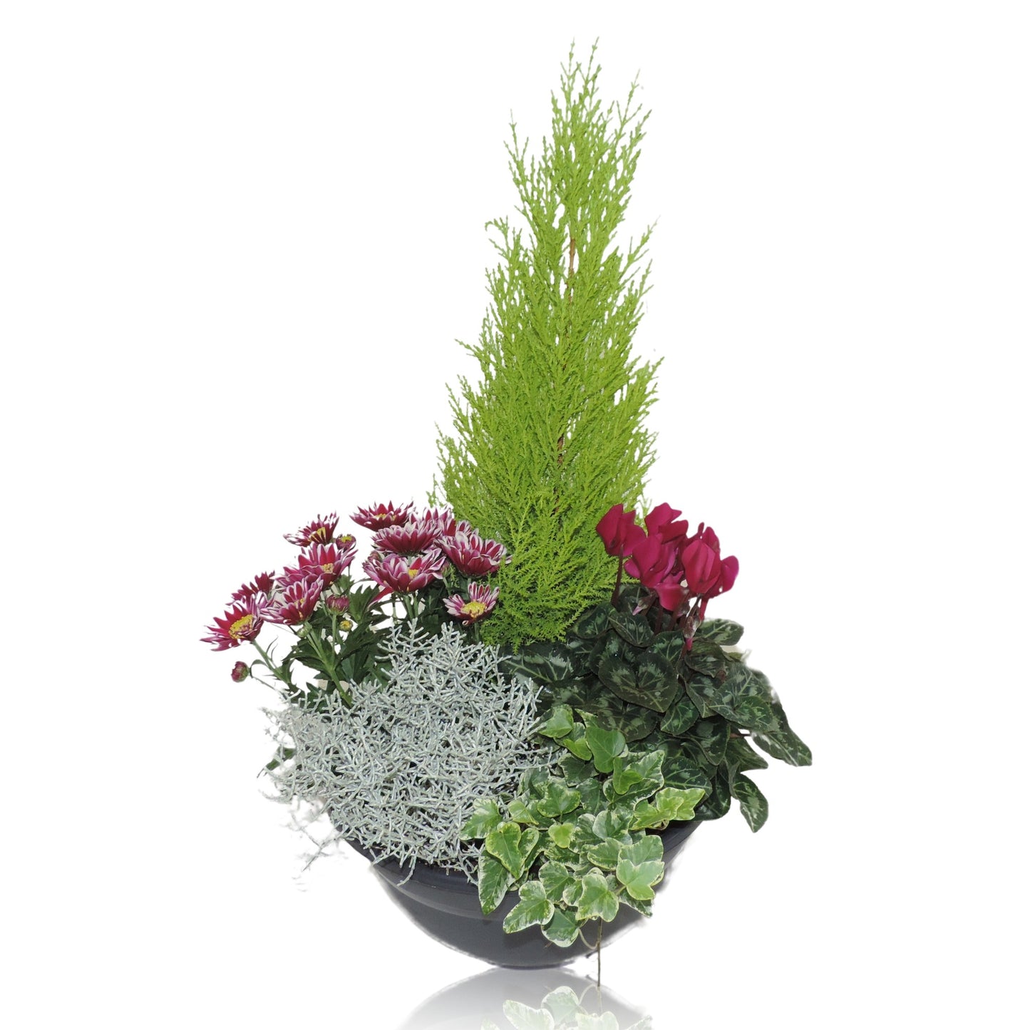 Outdoor arrangement 60cm 27cm Pot