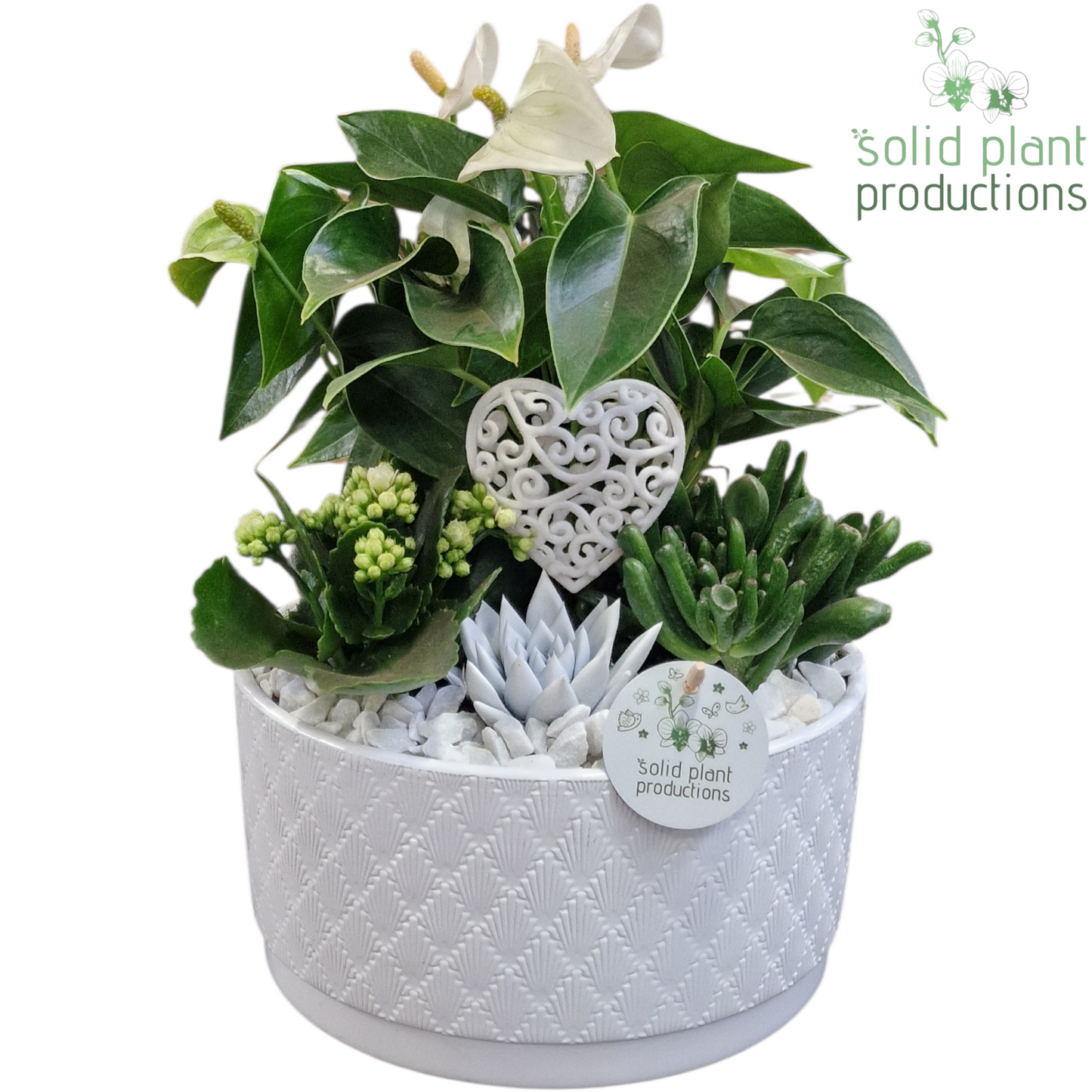 AE004 Stella White VM 42cm 22cm Pot