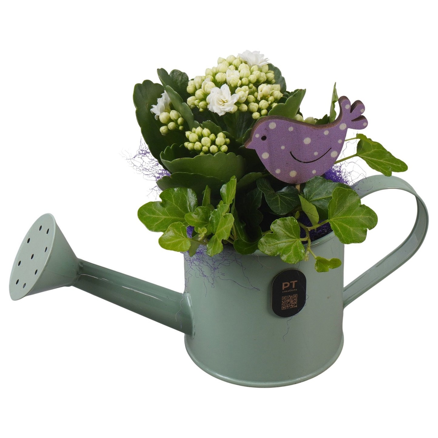 Indoor arrangement 18cm 23cm Pot