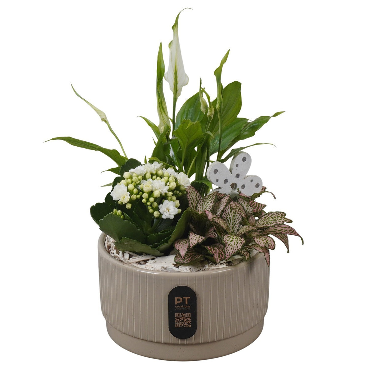 Indoor arrangement 29cm 16cm Pot