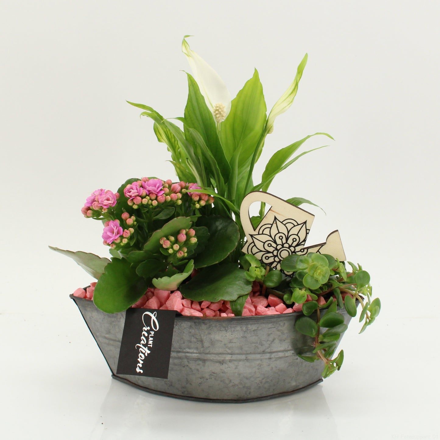 FDCR-2614RZ Basic Fundamentals 30cm 22cm Pot