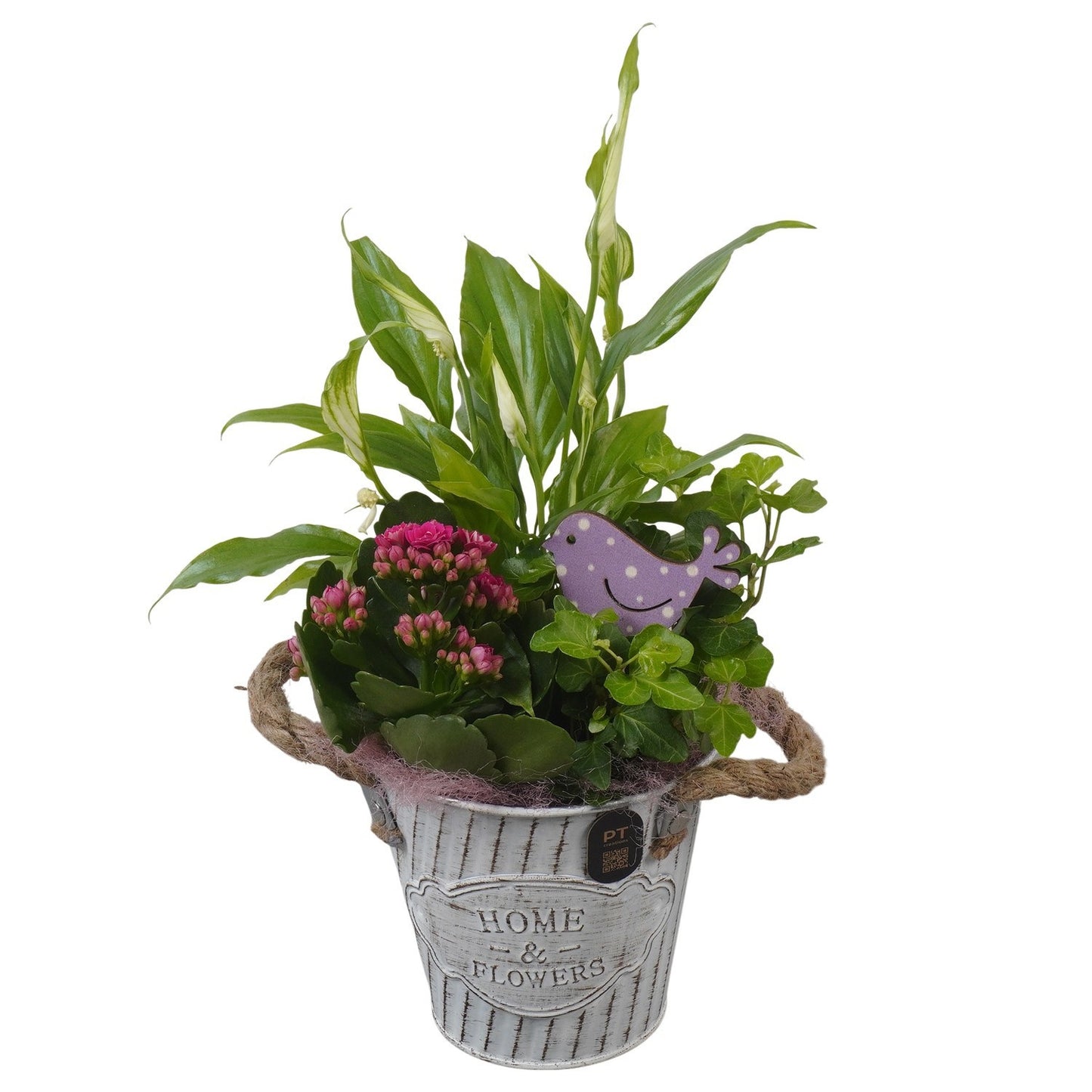 Indoor arrangement 33cm 12cm Pot