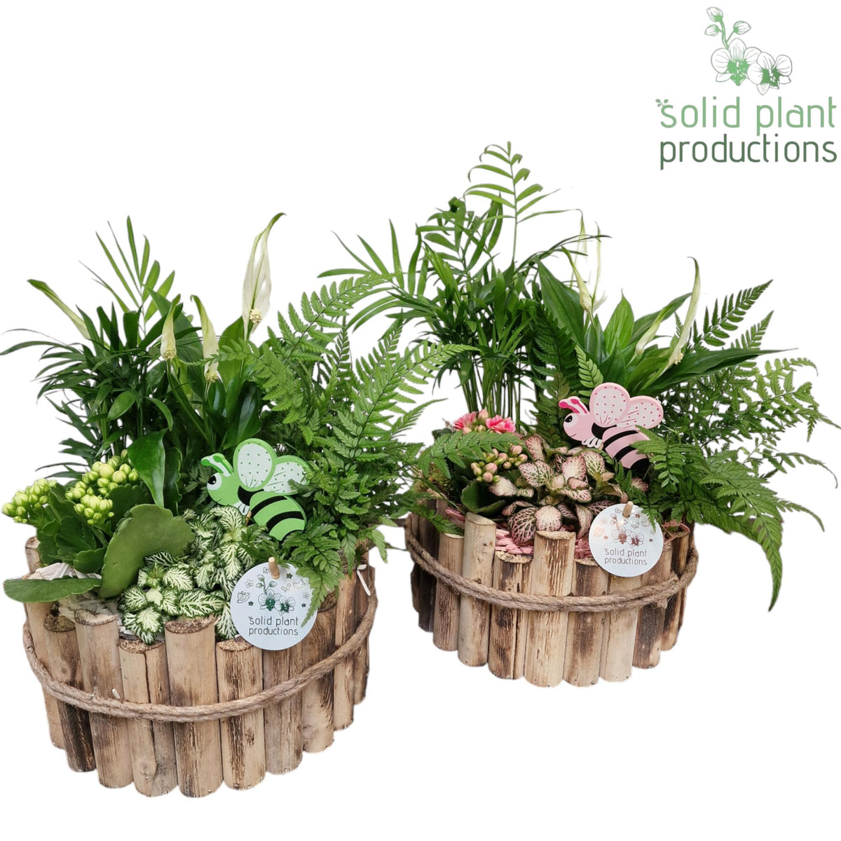 HSC002 Milano Large White/Pink Mix 40cm 23cm Pot