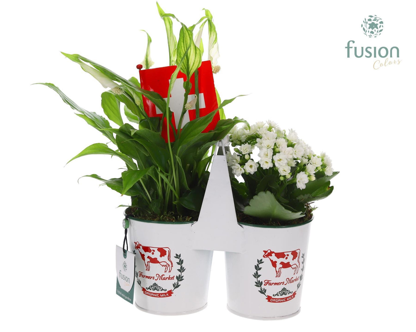 Zinken plantenbak met Arrangement en Zwitserse vlag 35cm 22cm Pot