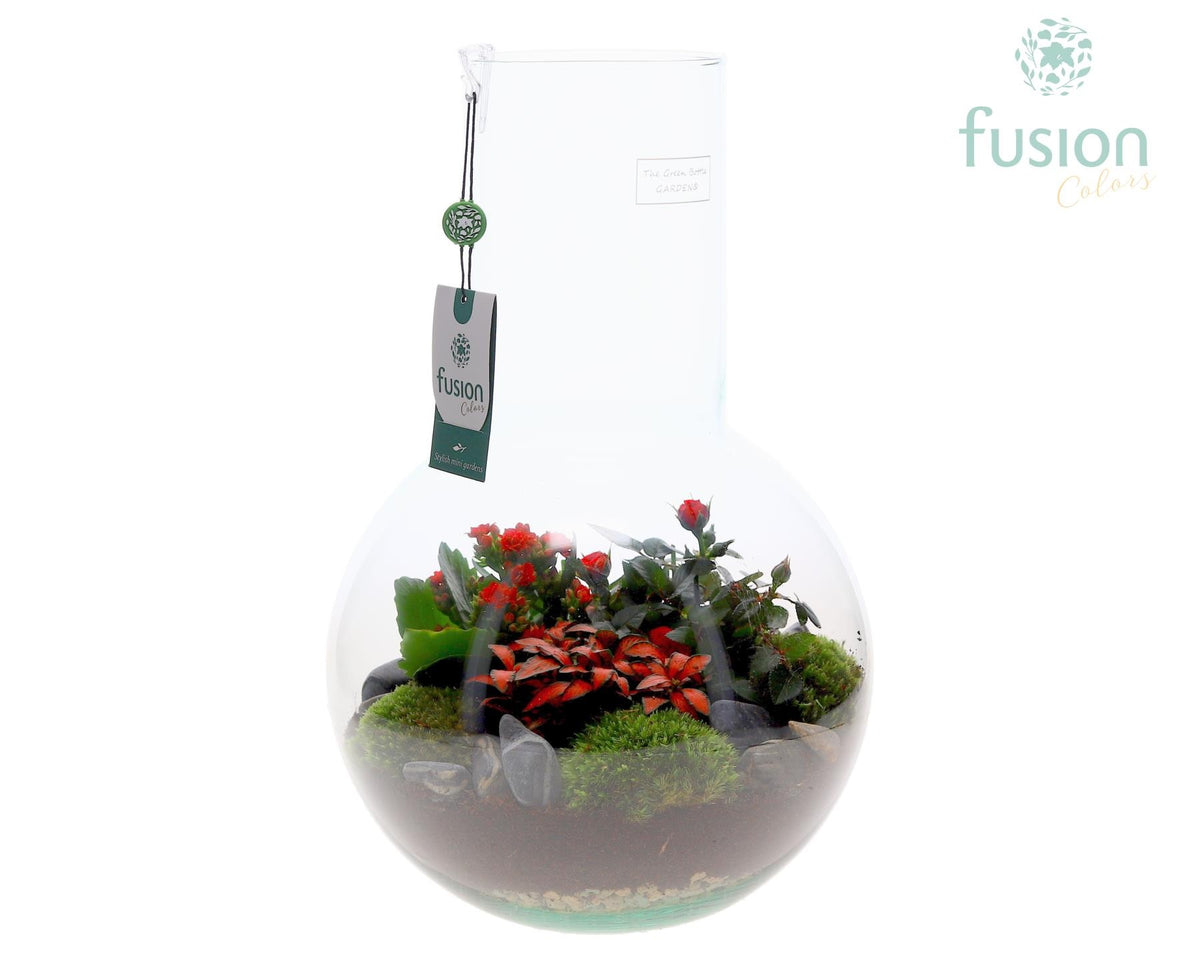 Green Bottle Suzanne Large met arrangement 43cm 26cm Pot