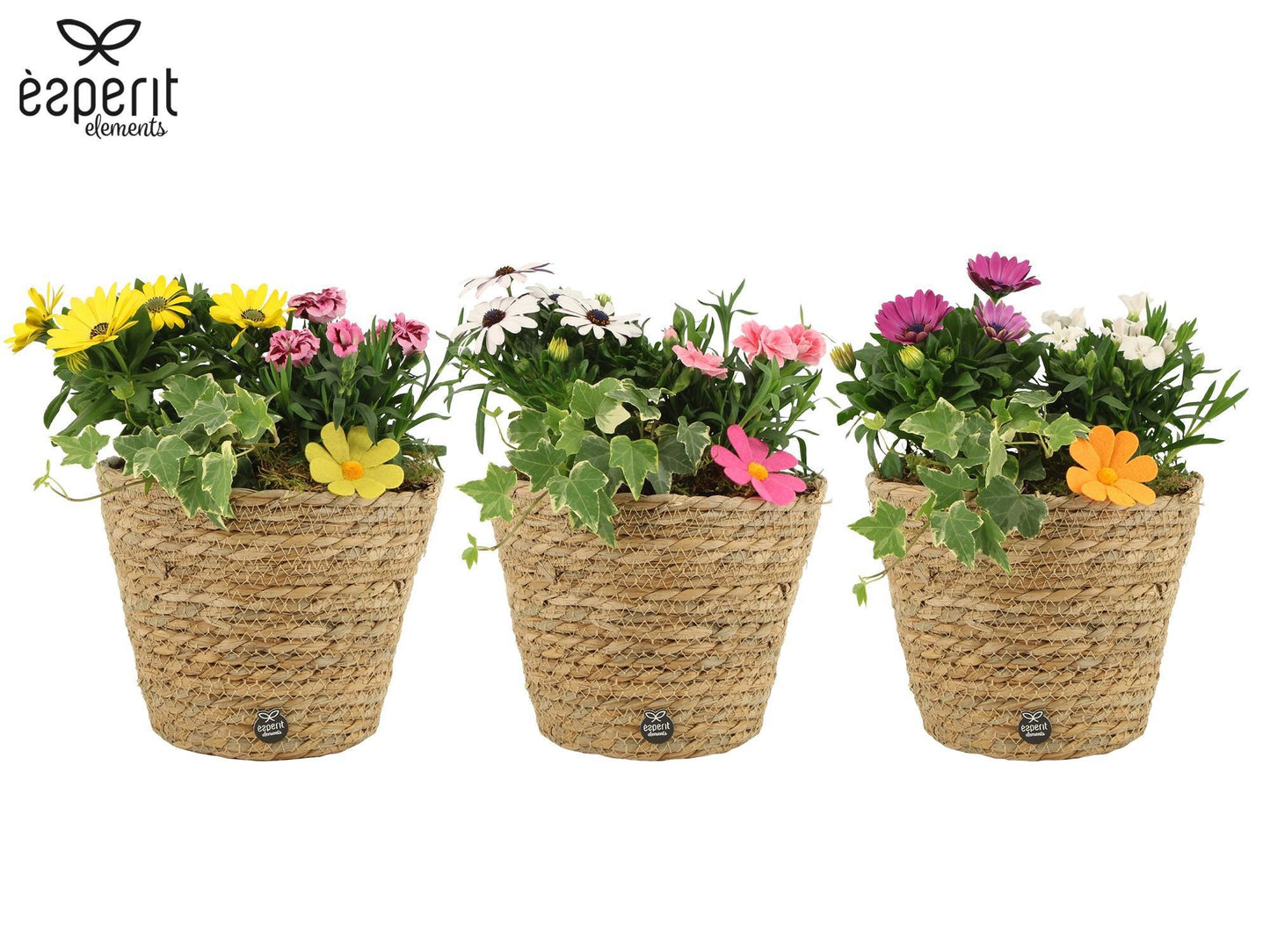 Outdoor arrangement 27cm 19cm Pot