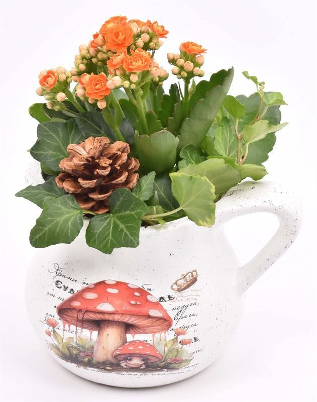 Indoor arrangement 16cm Pot