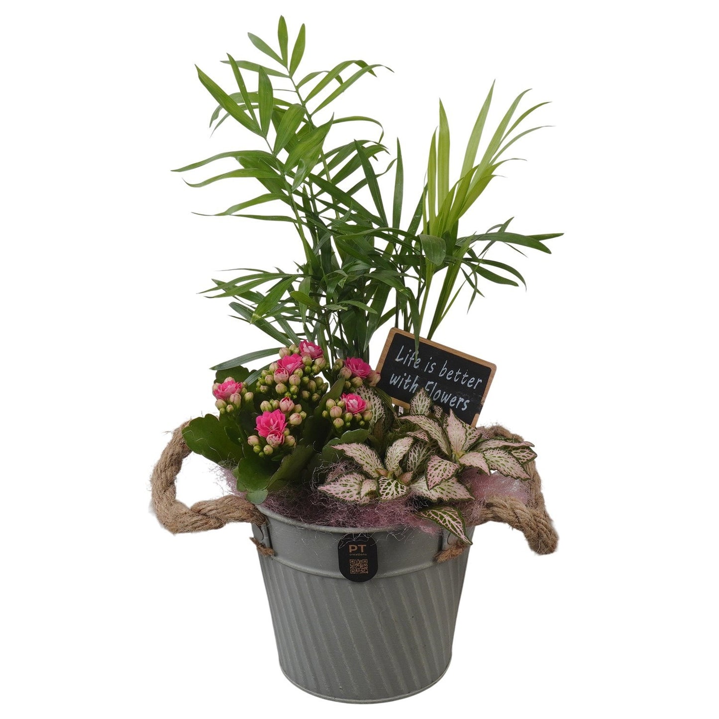 Indoor arrangement 31cm 13cm Pot