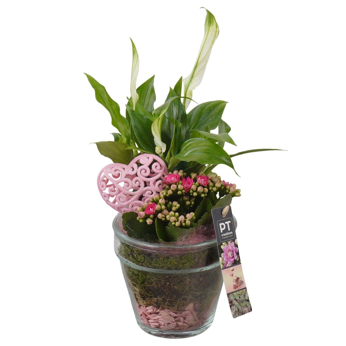 Indoor arrangement 33cm 13cm Pot