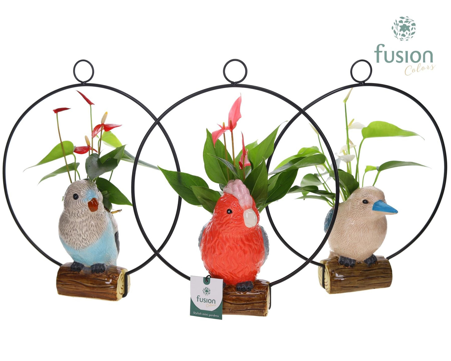 Fusioncolors BV Keramiek vogels in de ring met Anthurium Pack of 5