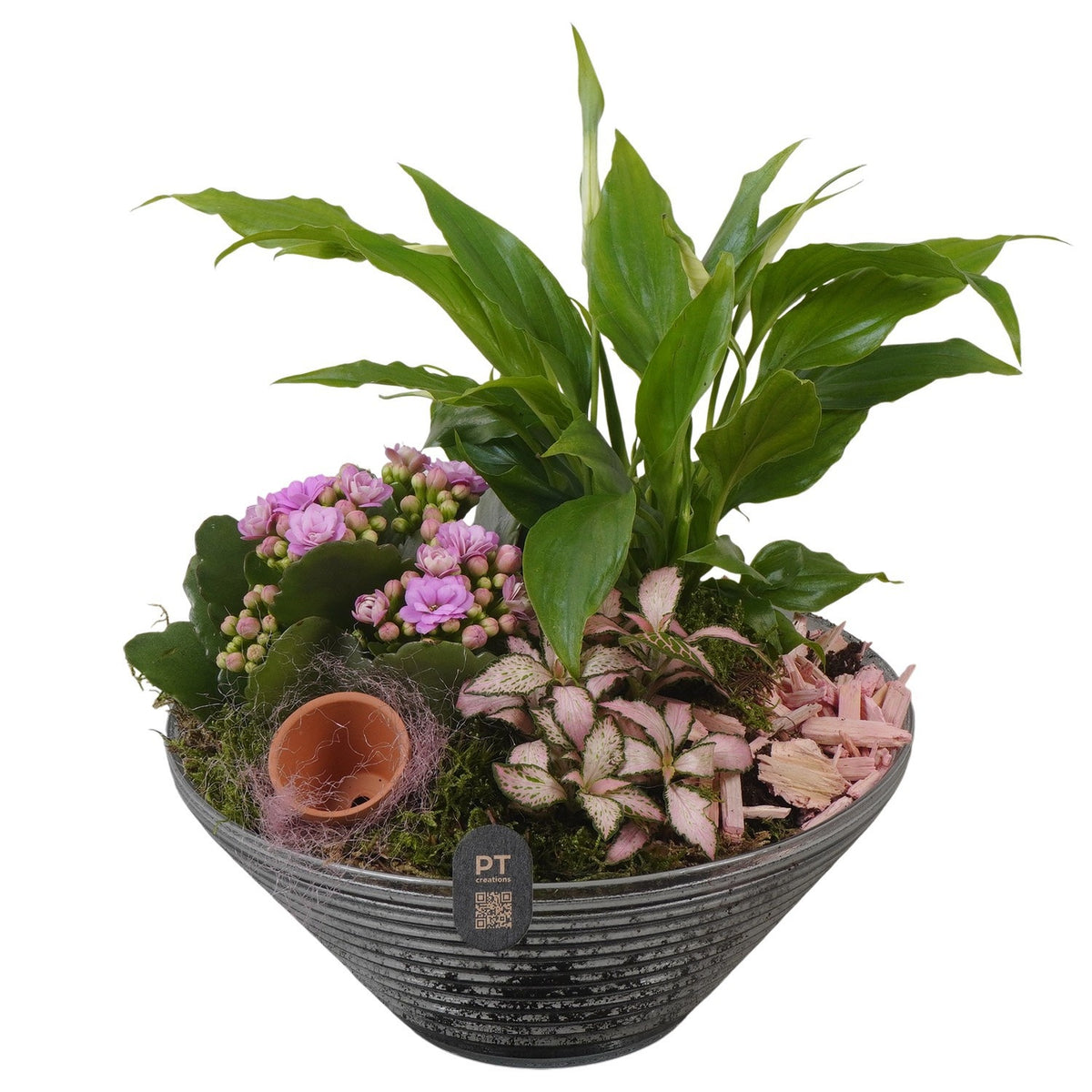 Indoor arrangement 29cm 19cm Pot