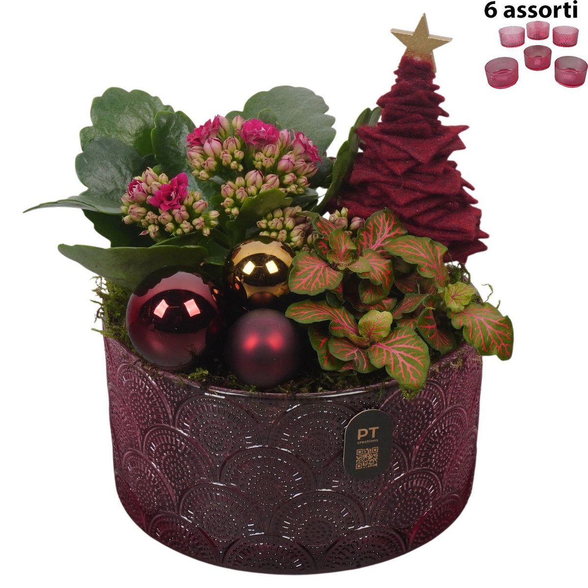 Christmas arrangement 21cm 15cm Pot
