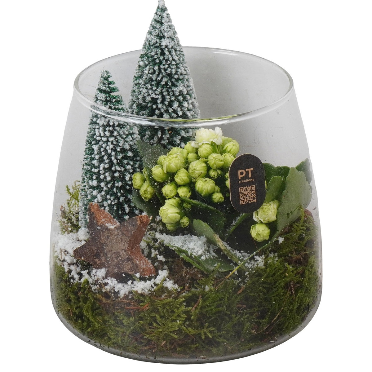 Christmas arrangement 15cm 14cm Pot