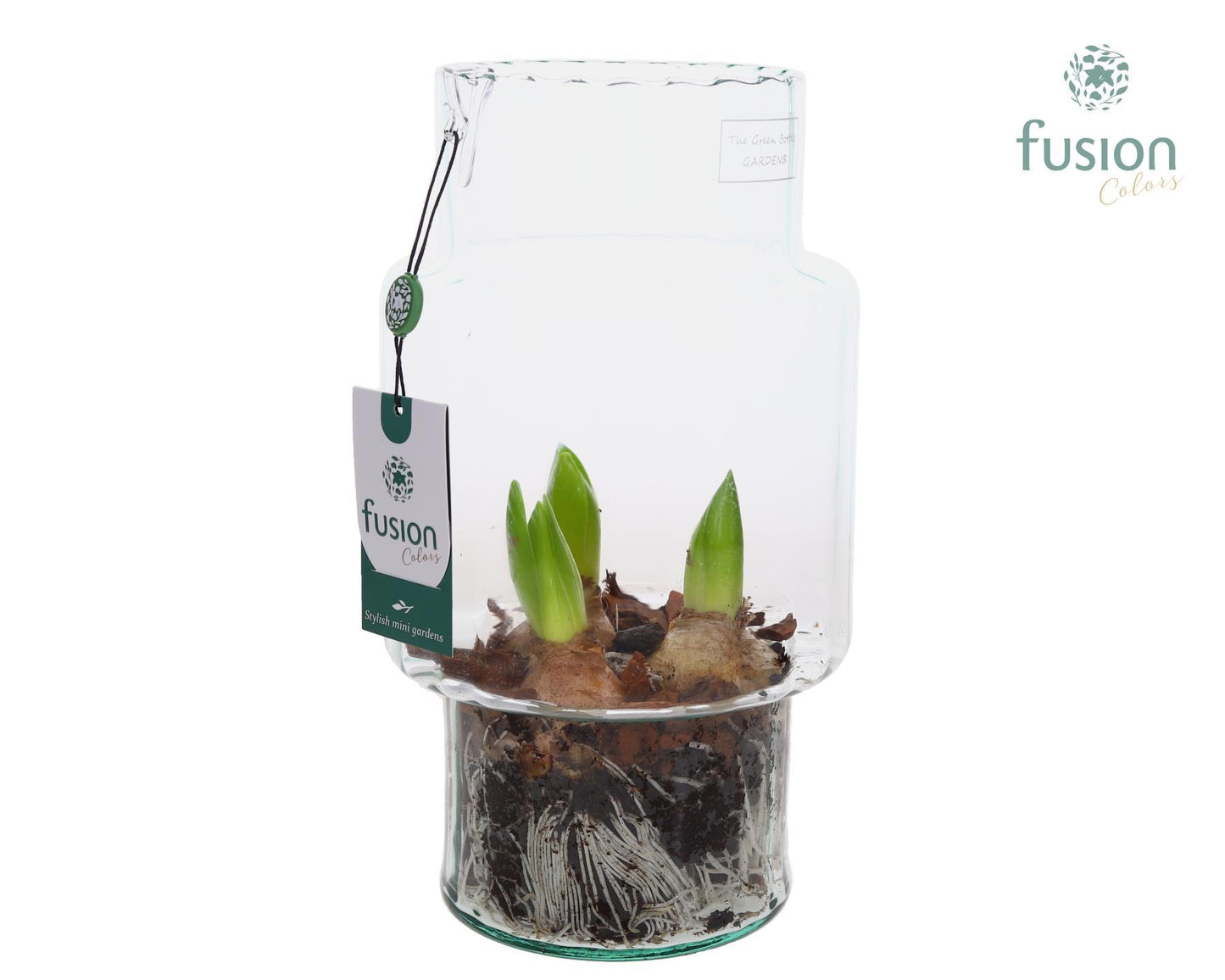 Green Bottle Sara Medium met Hyacinten 29cm 16cm Pot