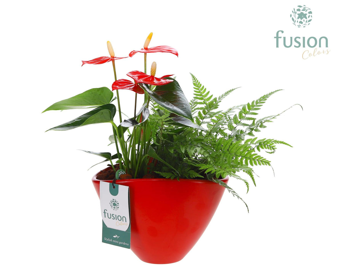 Keramiek bootpot Medium met Arrangement 29cm 18cm Pot