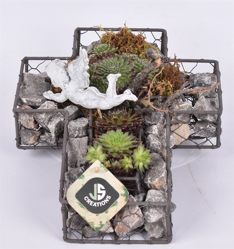arr. all saints day 30cm Pot