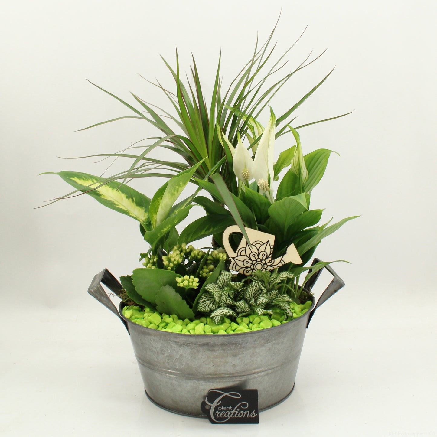 FDCR-2615GR Basic Fundamentals 50cm 23cm Pot