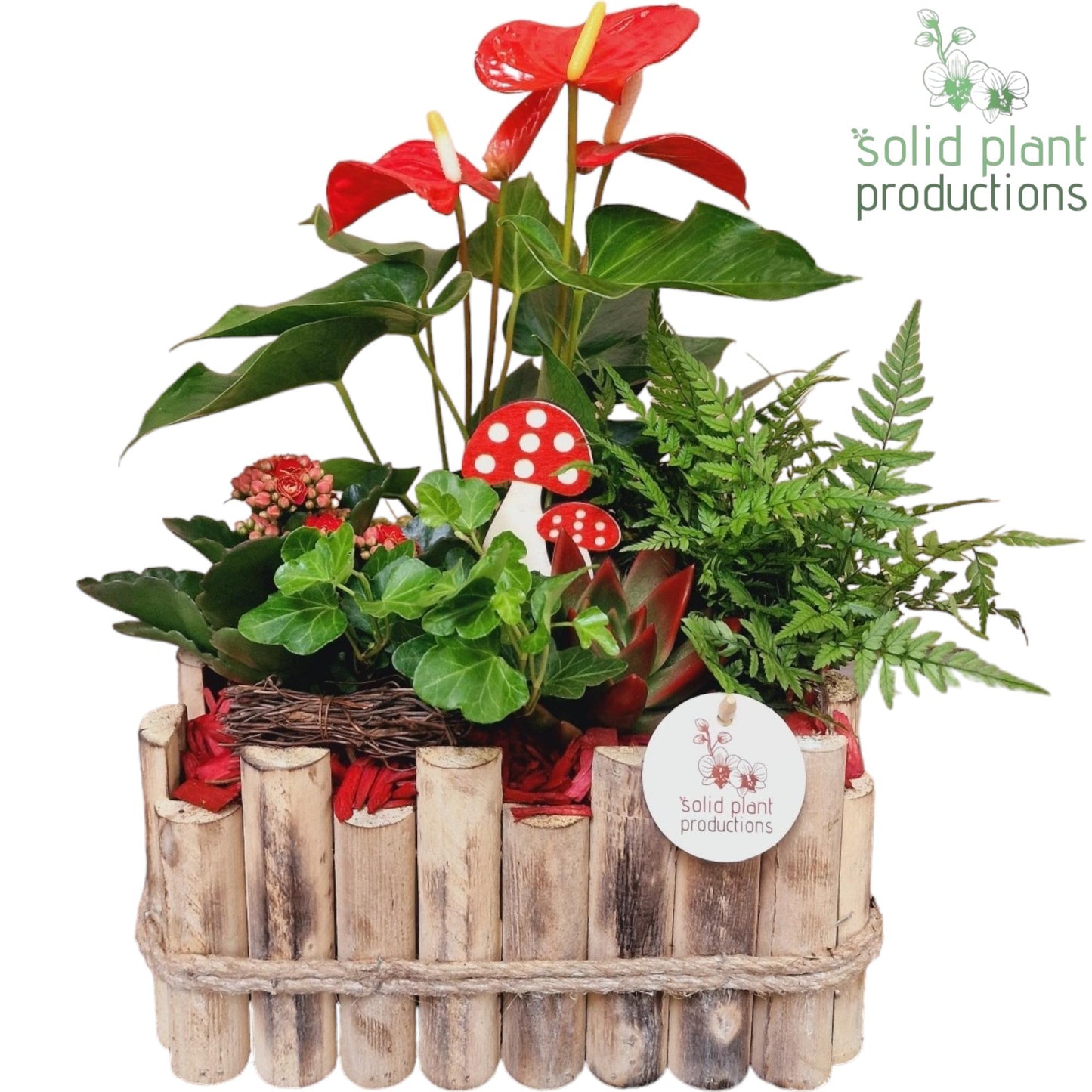 HAE008 Verona Large Autumn Red 40cm 30cm Pot