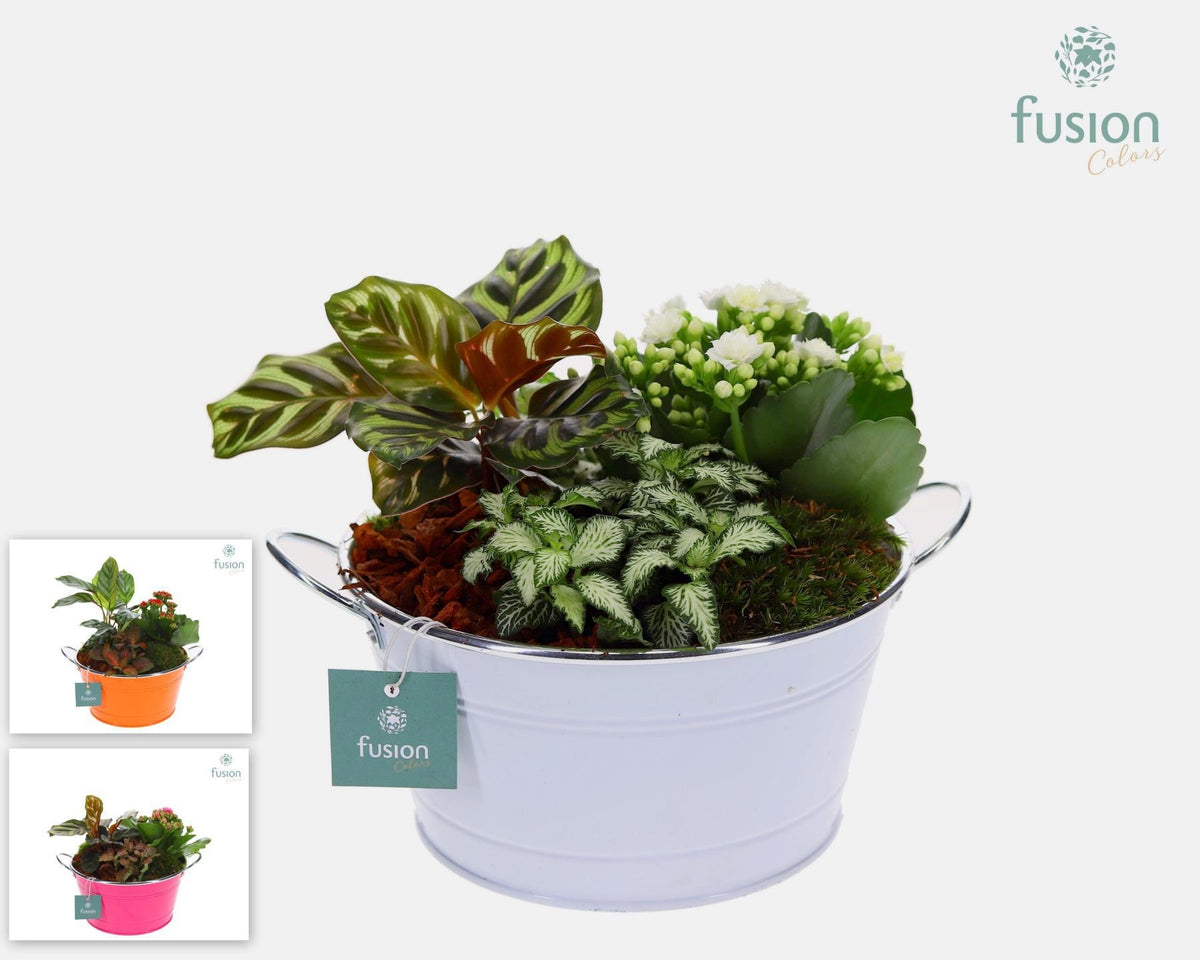 Zinken schaalrond met Arrangement 25cm 20cm Pot