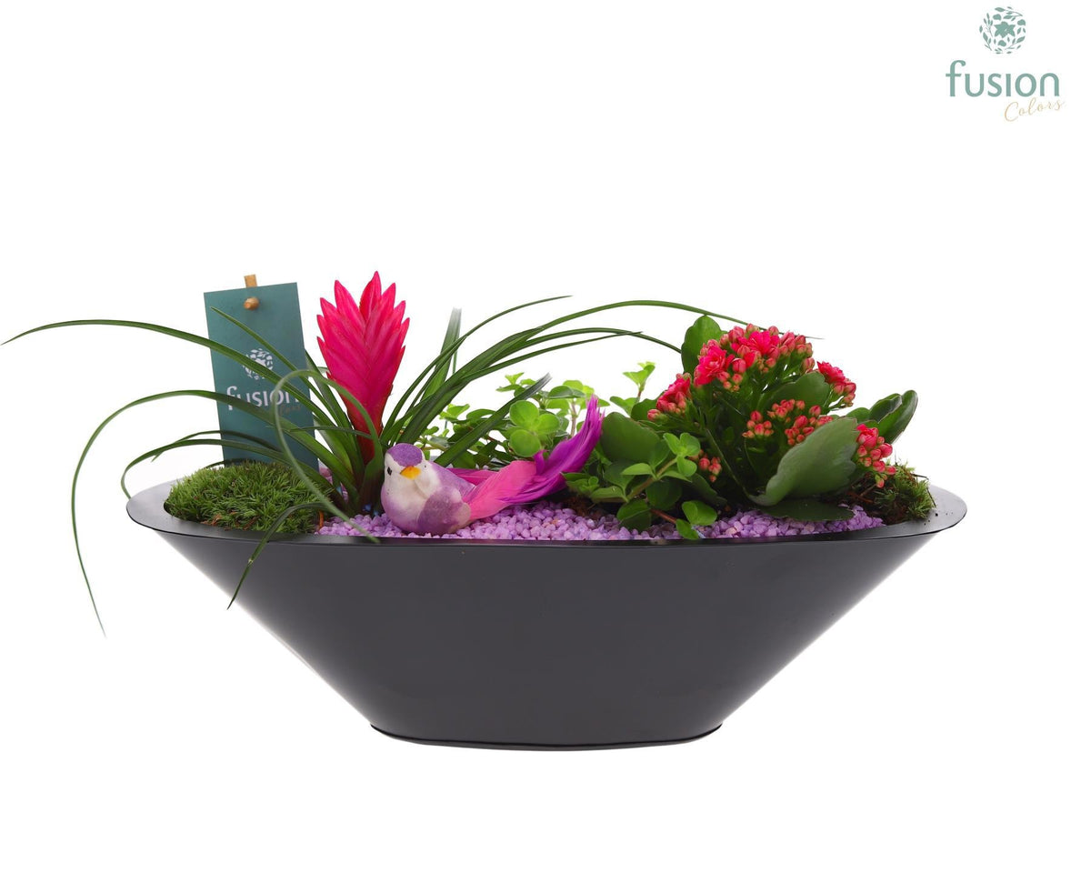 Zinken schaal antraciet met Arrangement 25cm 36cm Pot