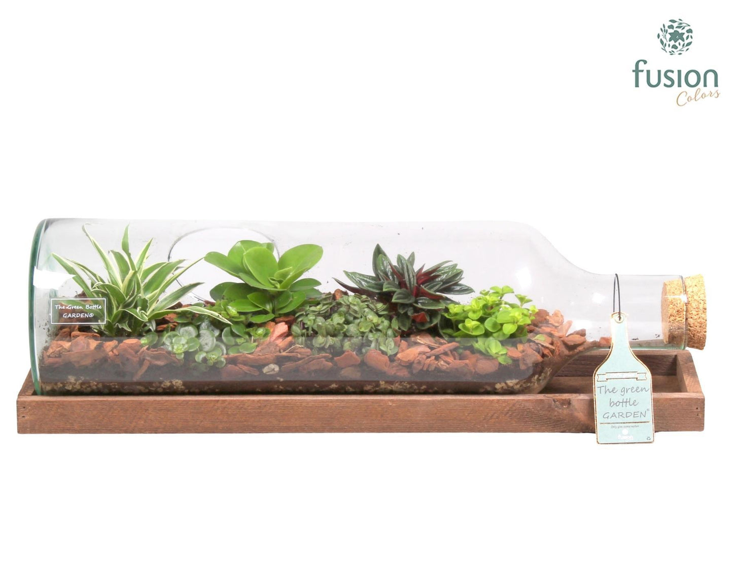 Green Bottle Fles Large liggend met groene planten 6pp 20cm 58cm Pot