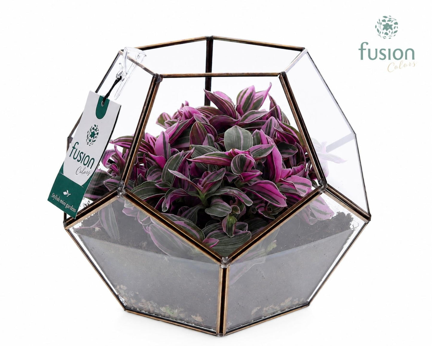 Geometrisch planter Large met groen plant 20cm 22cm Pot