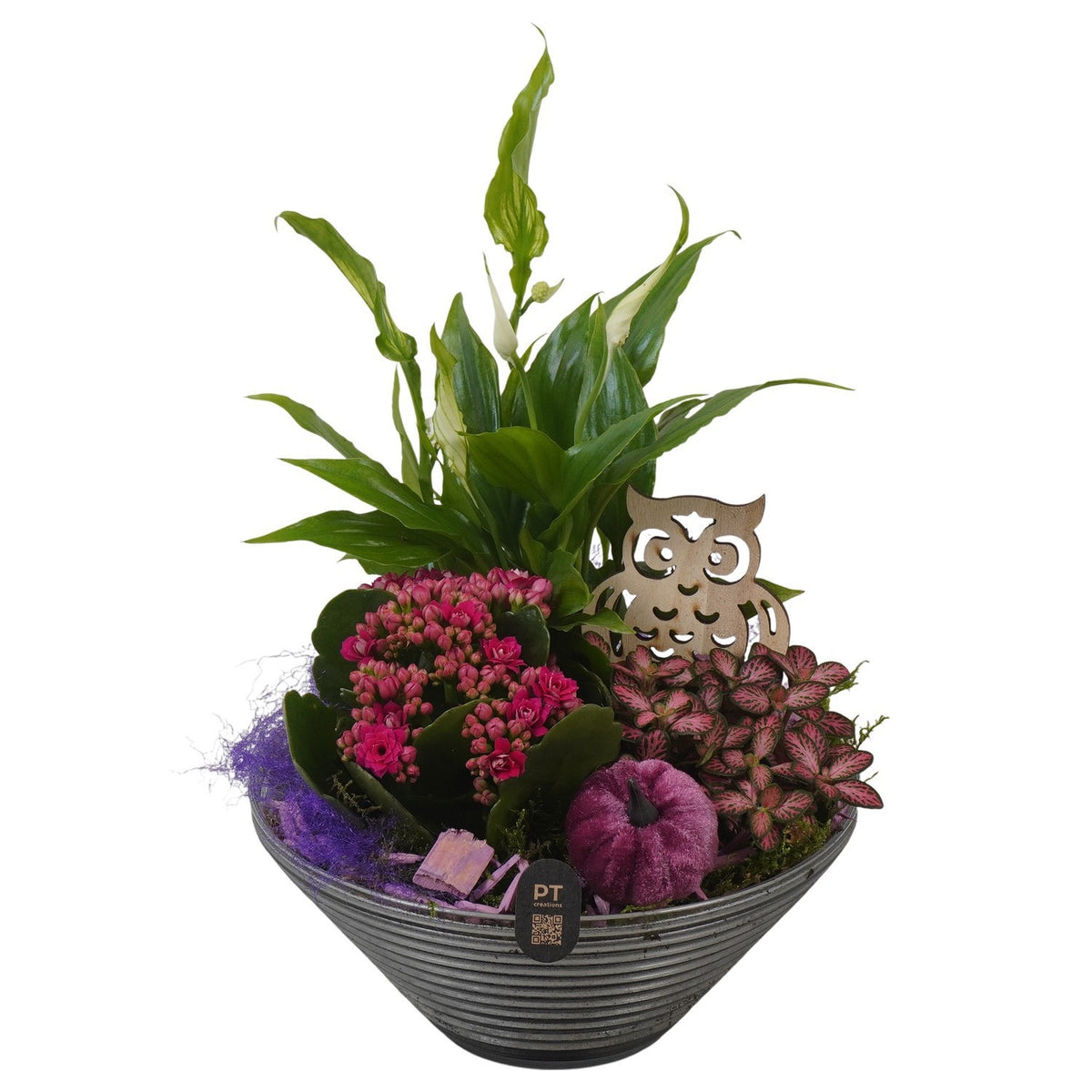 Indoor arrangement 28cm 19cm Pot