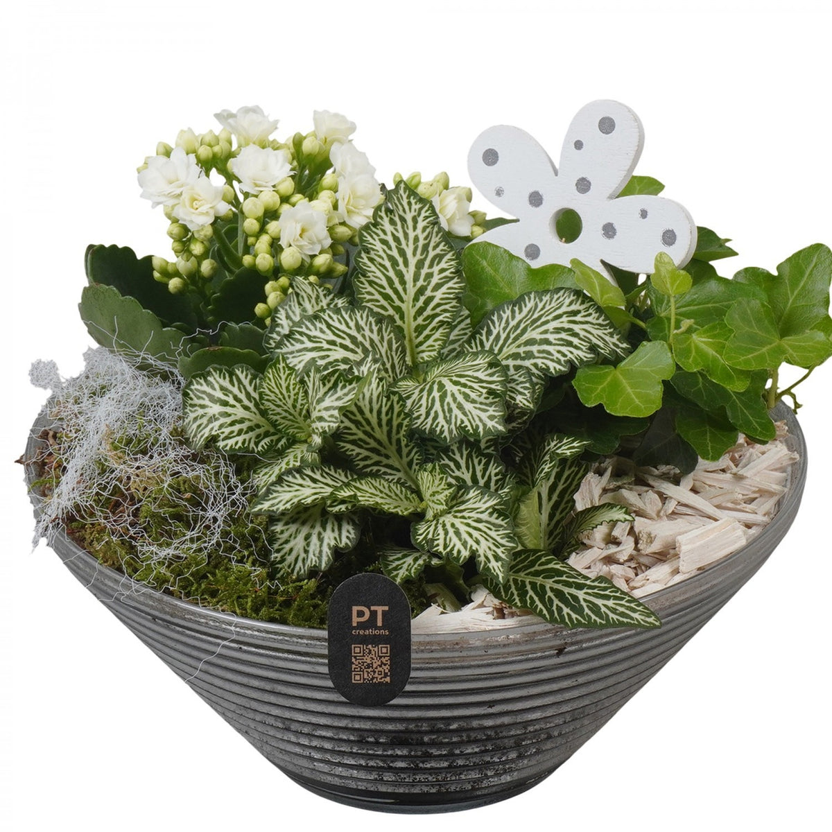 Indoor arrangement 18cm 19cm Pot