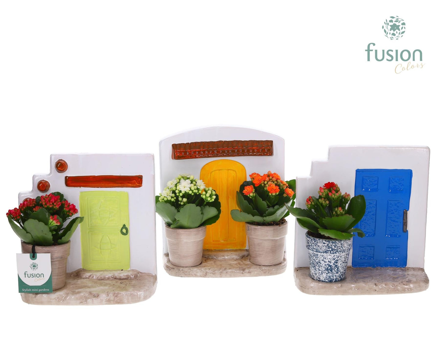 Terracotta Muurplanter met Kalanchoe 20cm 20cm Pot
