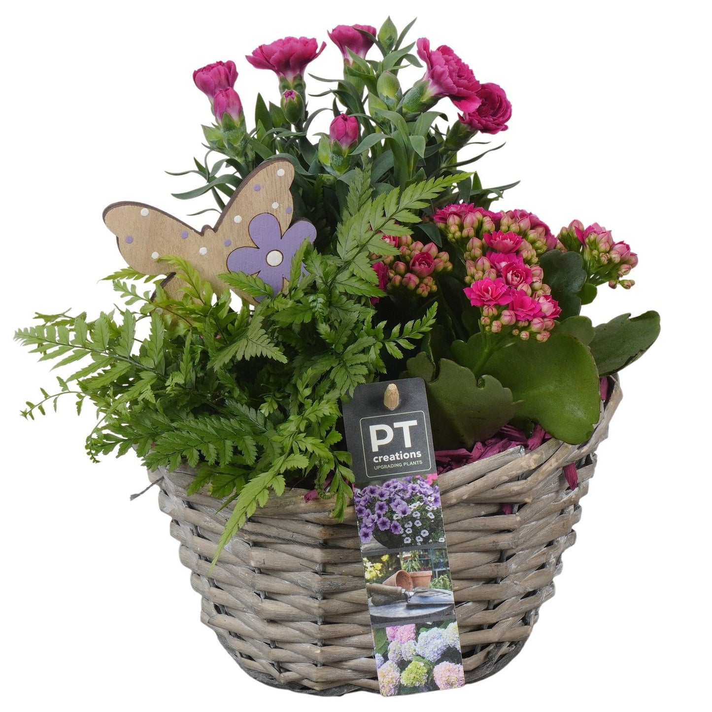 Outdoor arrangement 22cm 18cm Pot