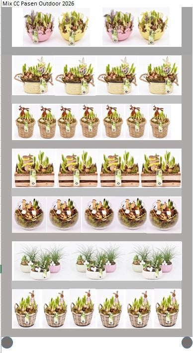 arr. Bulbs 999cm Pot