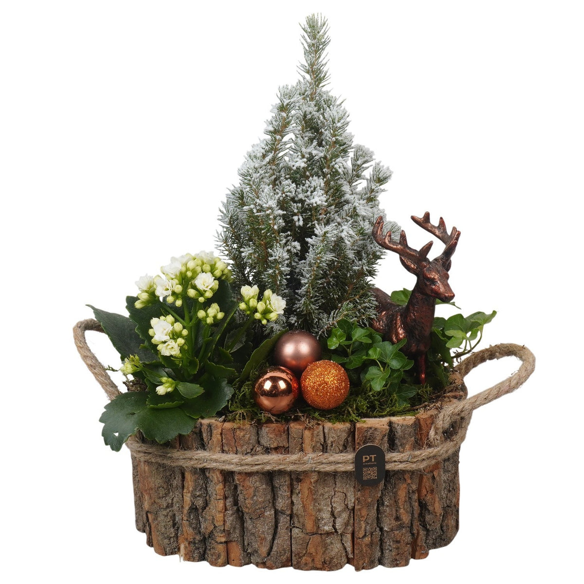 Christmas arrangement 34cm 22cm Pot