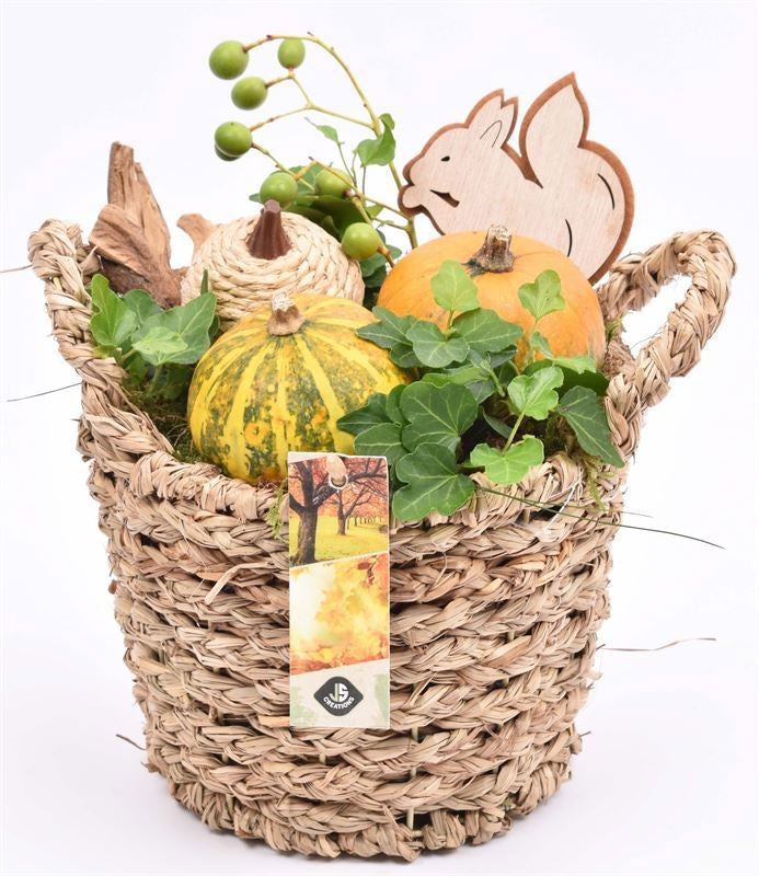 arr. Sierfruit 19cm Pot