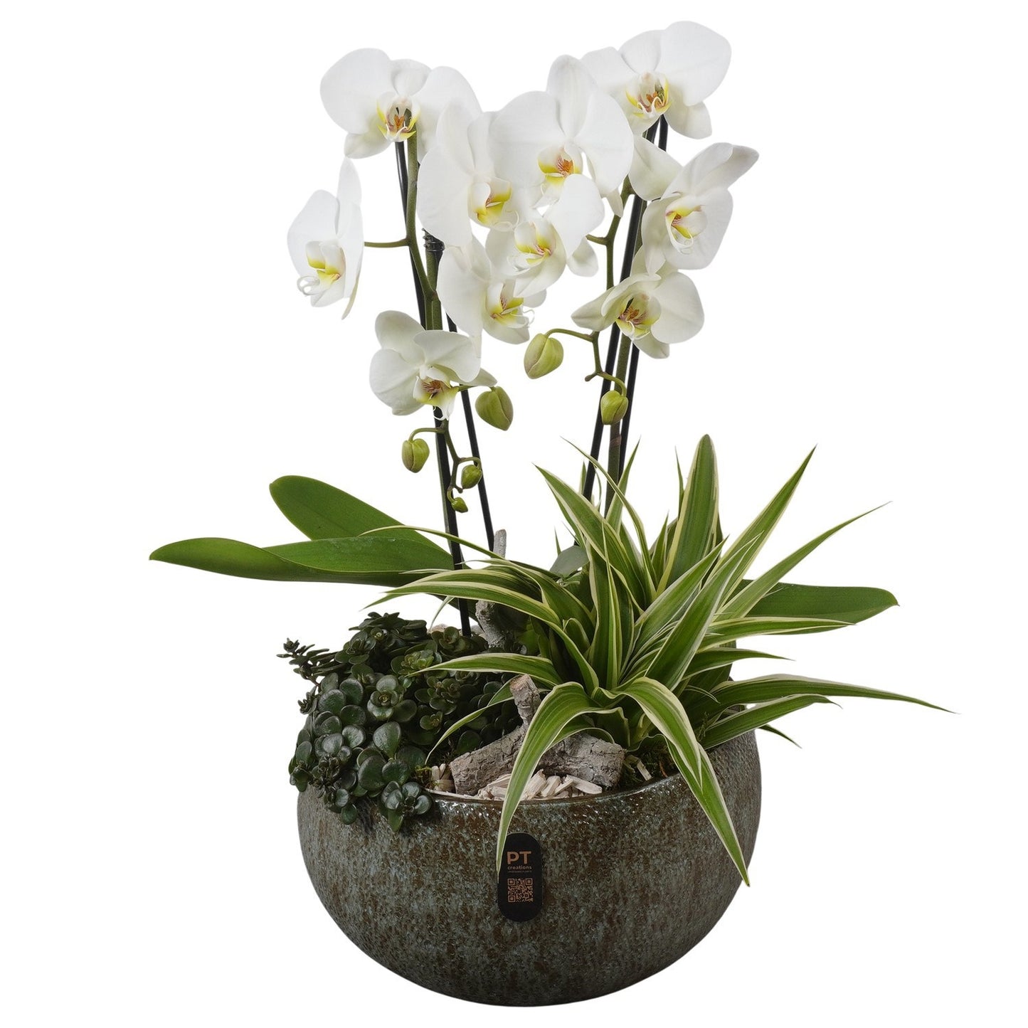 Indoor arrangement 52cm 26cm Pot