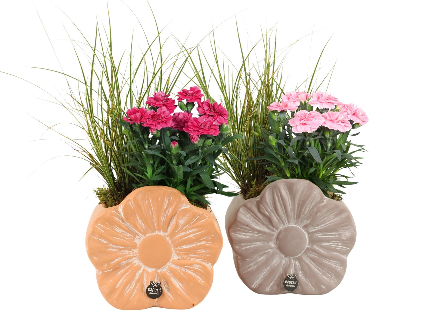 Outdoor arrangement 27cm 17cm Pot