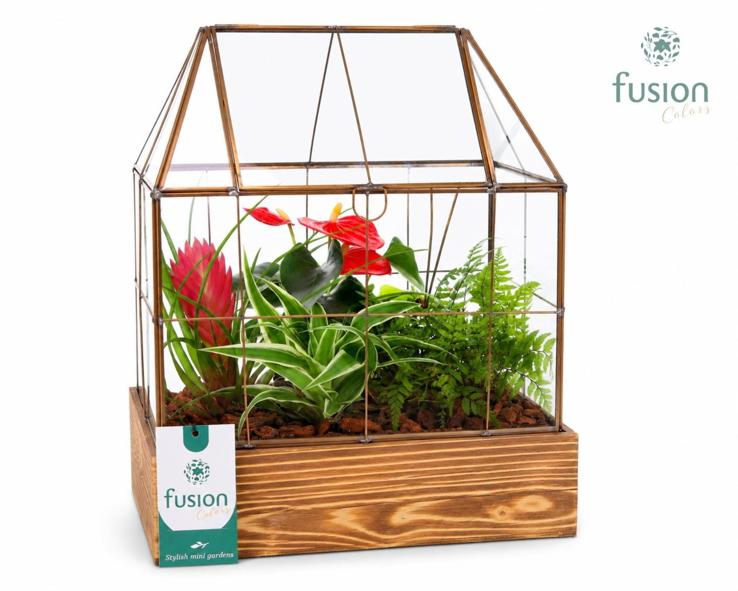 Geometrische huisvorm Large op houten basis met terrarium arrangement 35cm 26cm Pot