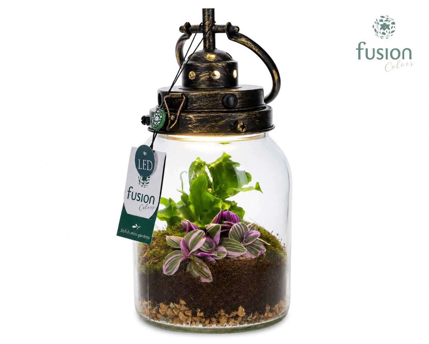 Glas LEDlamp met arrangement 2pp 29cm 16cm Pot